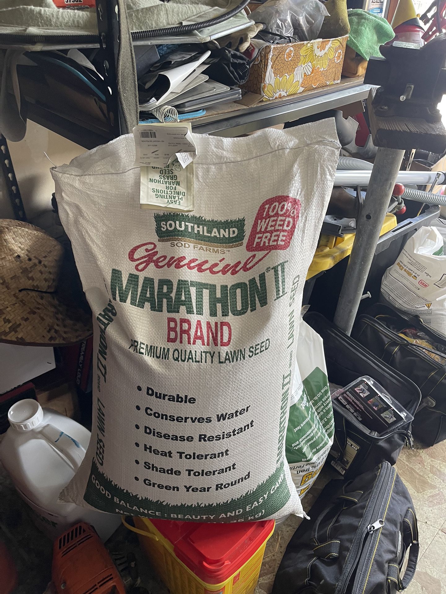 Marathon Brand Seeds For Lawn