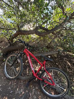 Mtb
