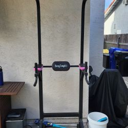 Dip And Pull up Station 