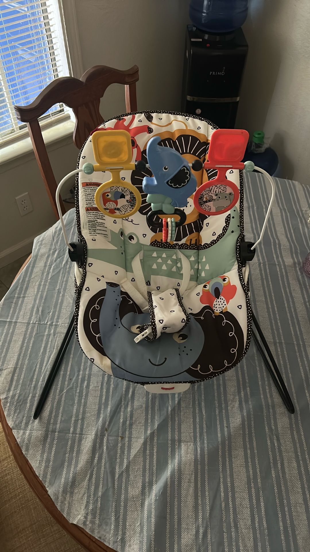 Baby Bouncer