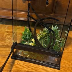 Crested gecko tank 12x12x18 and accessories only comes with everything you need