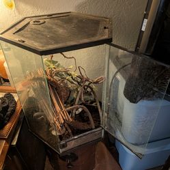 Vertical Terrarium