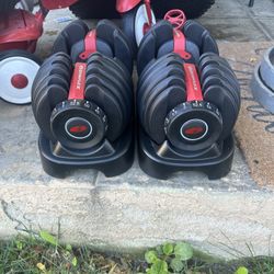 Bowflex SelectTech 552 Adjustable Dumbbells