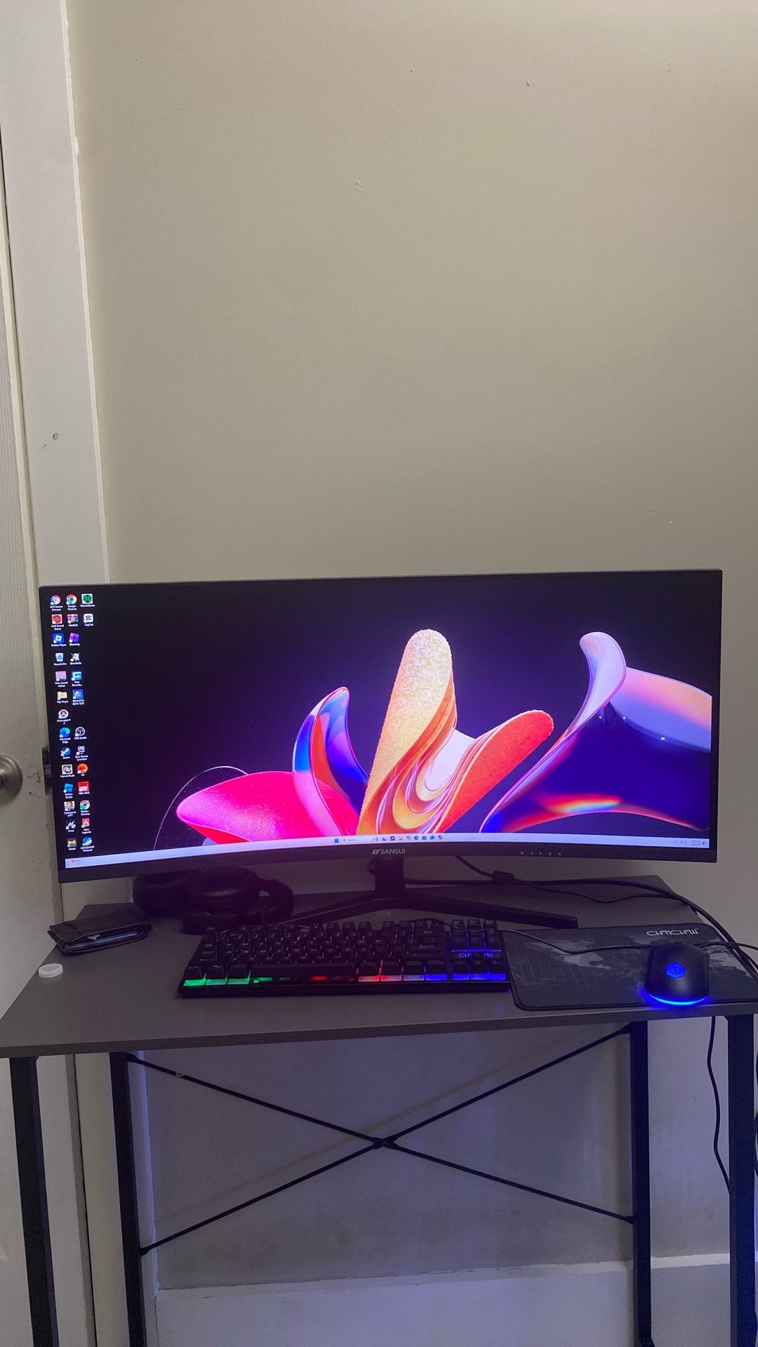 Widescreen monitor