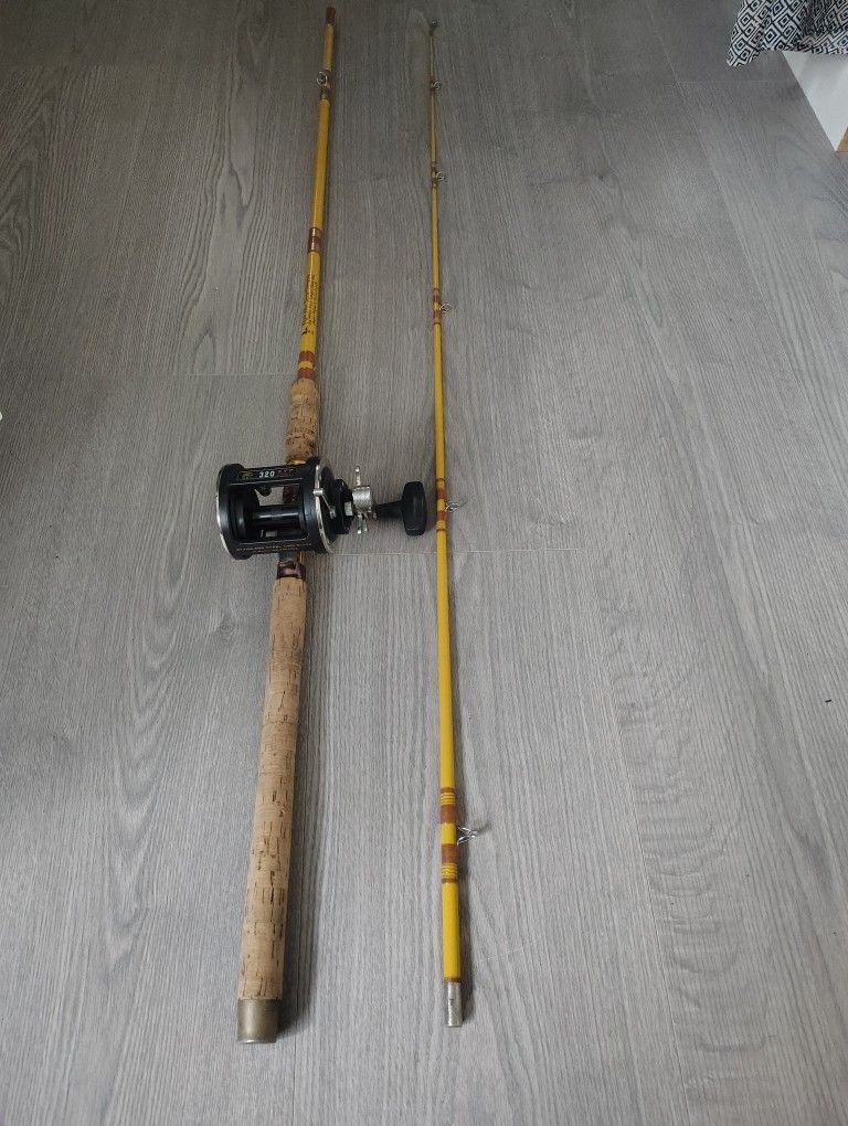 Eagle Claw Salmon Rod