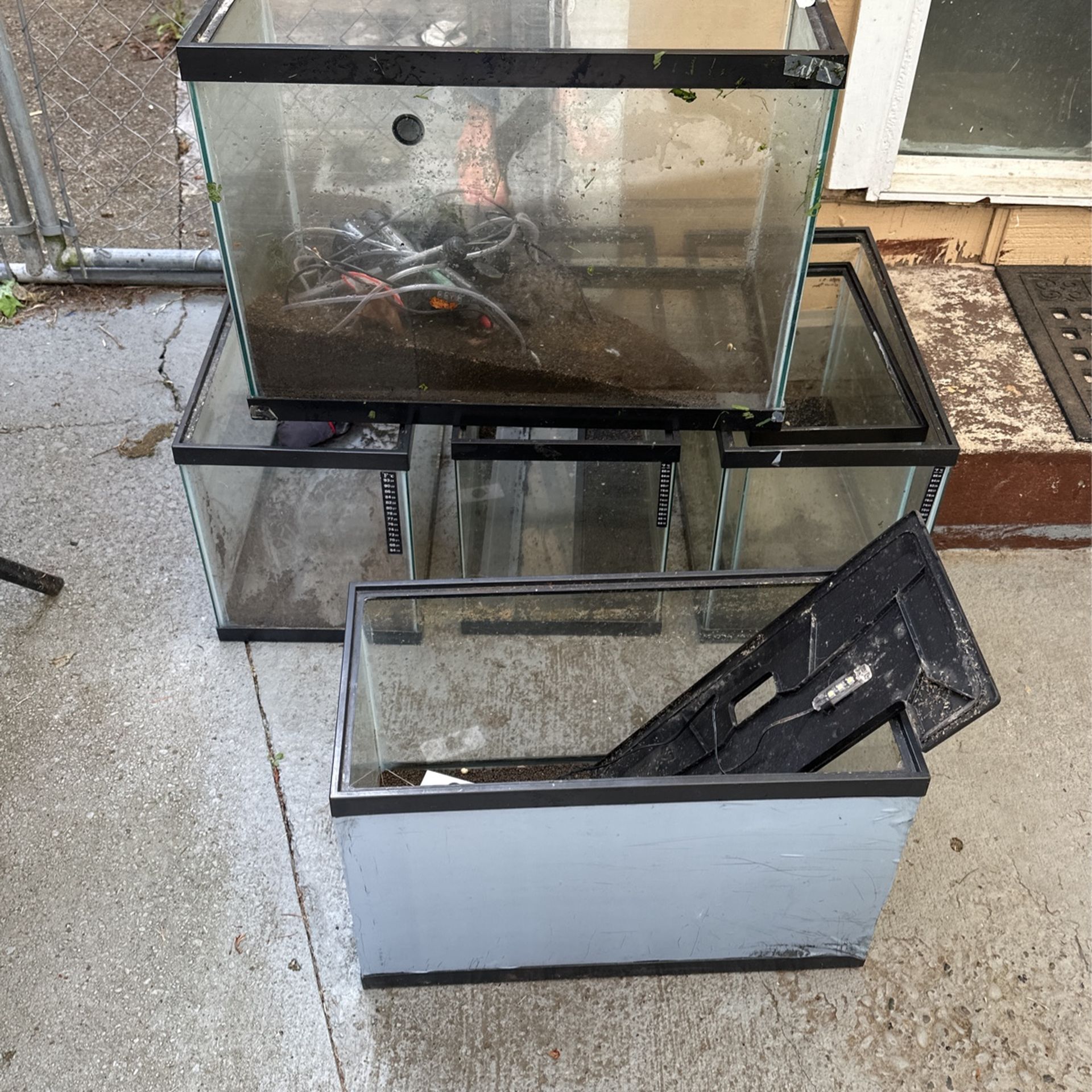 Fish Tanks 6 Total