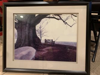 Framed Print Art