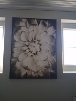 Paintings