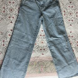 Pacsun Casey Low Rise Baggy