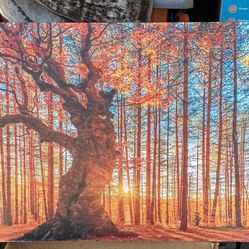 20x39 Colorful Canvas Print Wood Frame