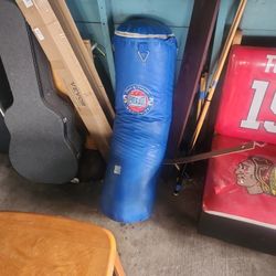 Punching Bag
