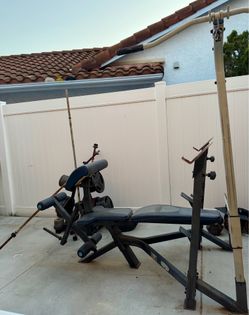 Olympic size bench with Standard size weights and bars with tree