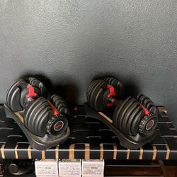 Bowflex Dumbbells 