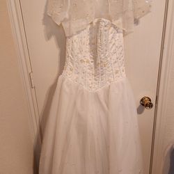 Quinceanera/Ball Gown Size 8
