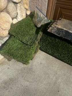 Turf