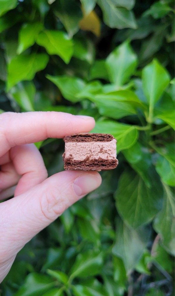 Freeze Dried Ice Cream Sandwhich Bites