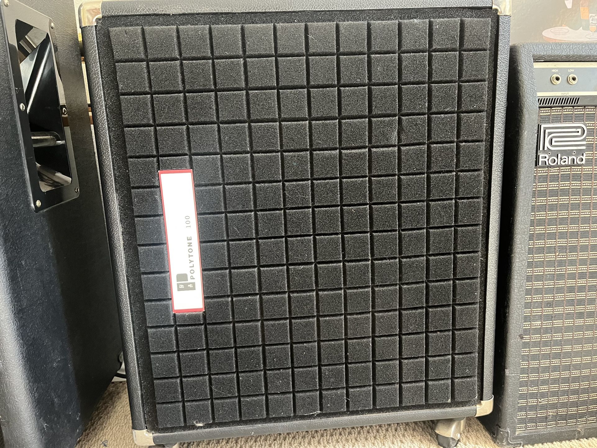 Polytone 100 Custom Bass Amp 