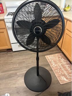 Lasko fan