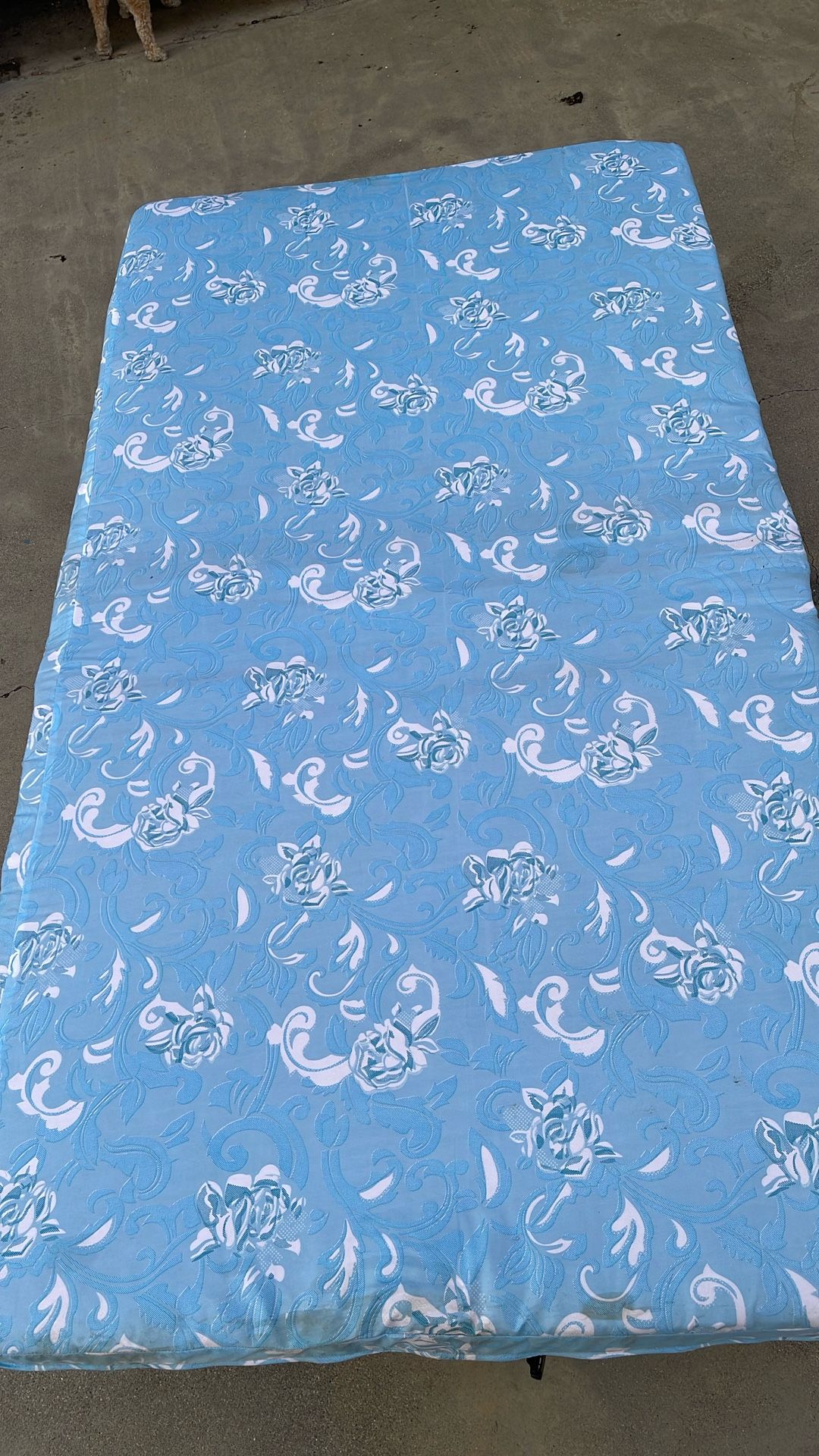 Rolling Twin Bed With Mattress