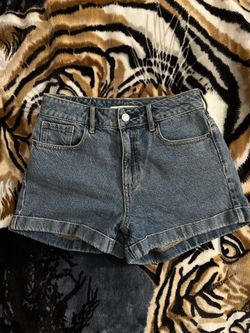 Womens Pacsun Jean Shorts (SIZE 25)