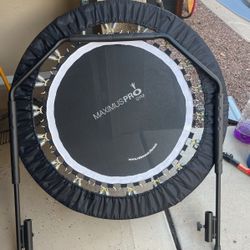 Maximus Pro Trampoline With Bar 