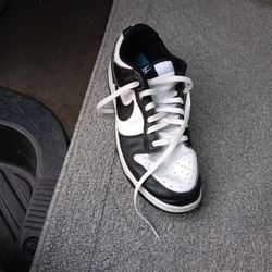 Nike  Dunk 