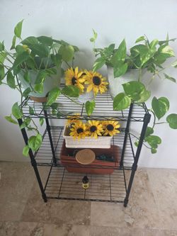 Moving out sale