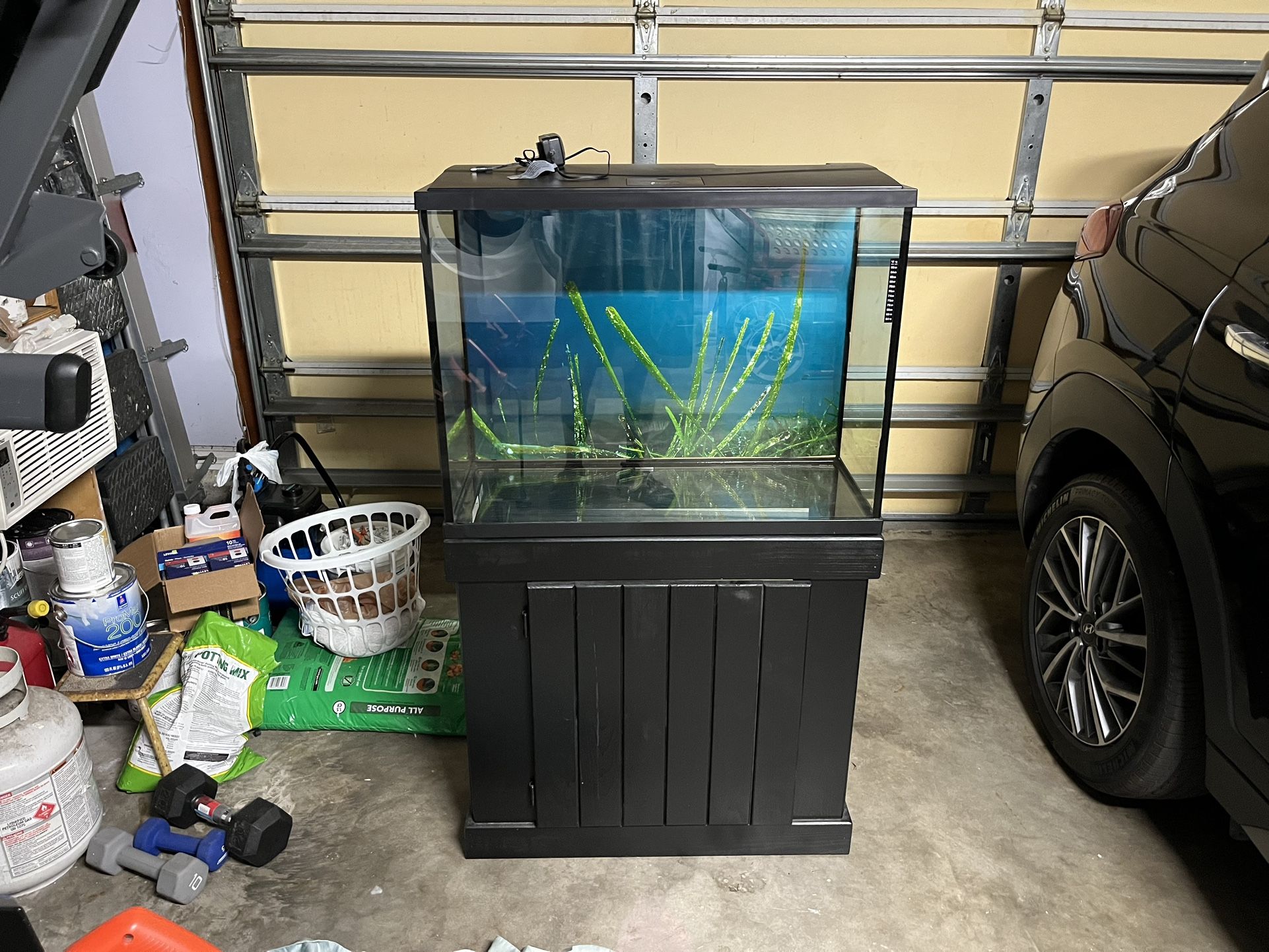 37 Gallon Tank With Stand And Pen Plex Cascade 1000filter