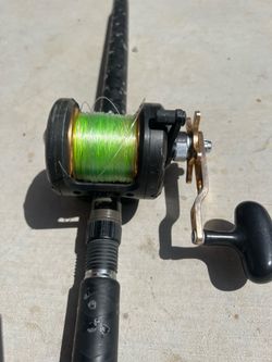 Daiwa Saltist 40H + Daiwa Proteus PRTB80XHF – Ready to Fish Yellowtail/Tuna Combo