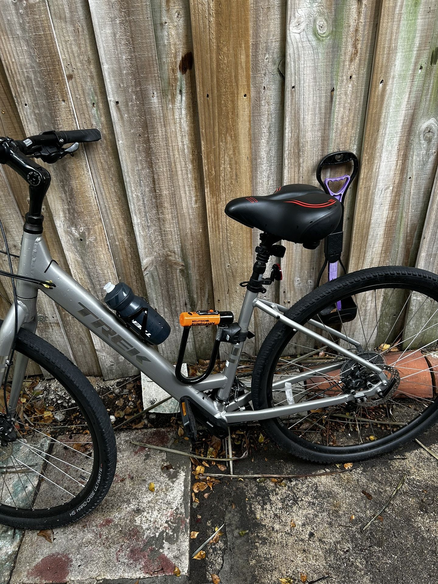 Trek Verve Bicycle
