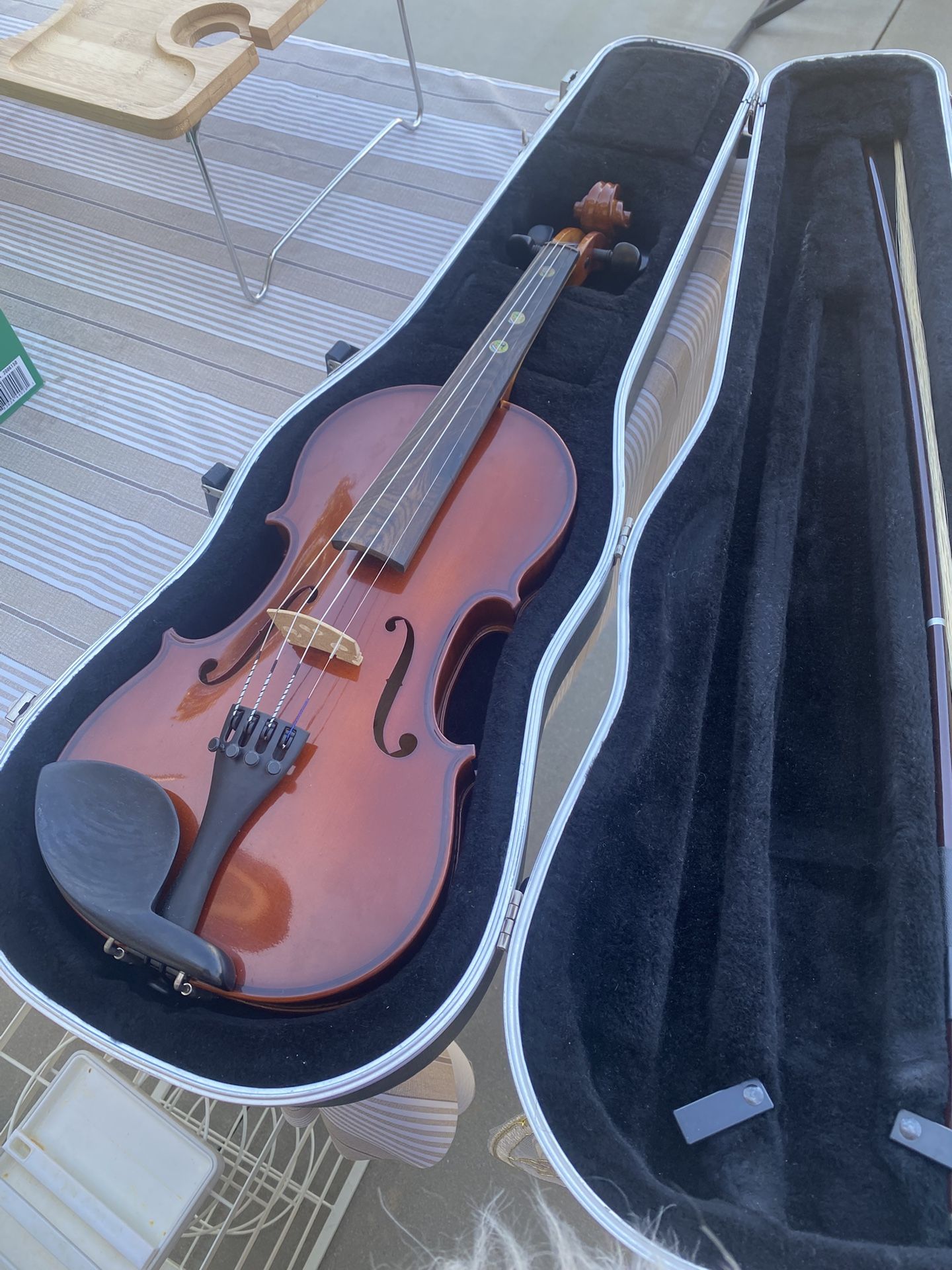 Violin