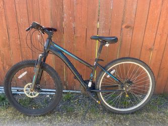 Schwinn “26