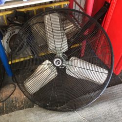 Fans