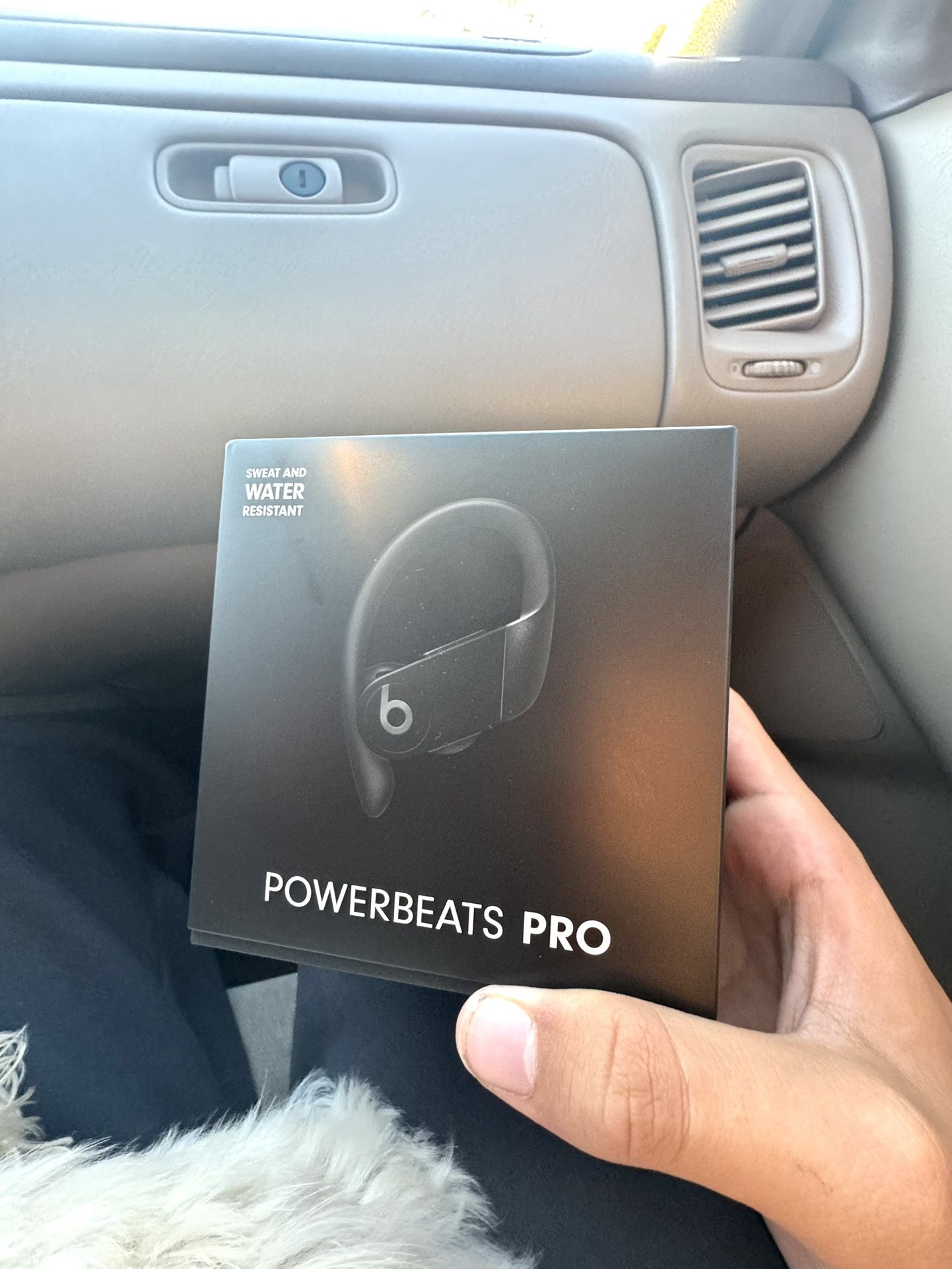 Power Beats Earbuds