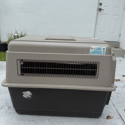 Plastic Dog Crates, Carriers & Kennels