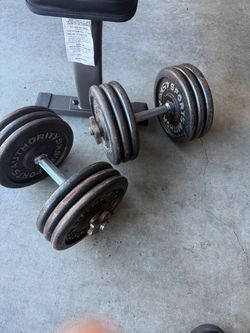 Dumbbells (120 + Pounds)