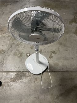 Really Nice Fan Comes With Remote