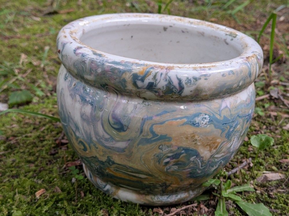 Plant Pot