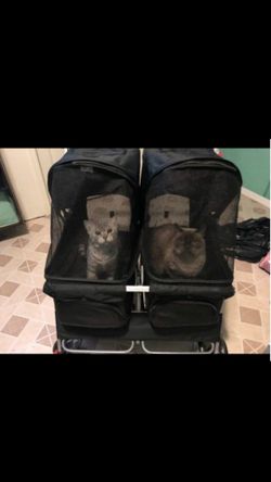 Double pet stroller