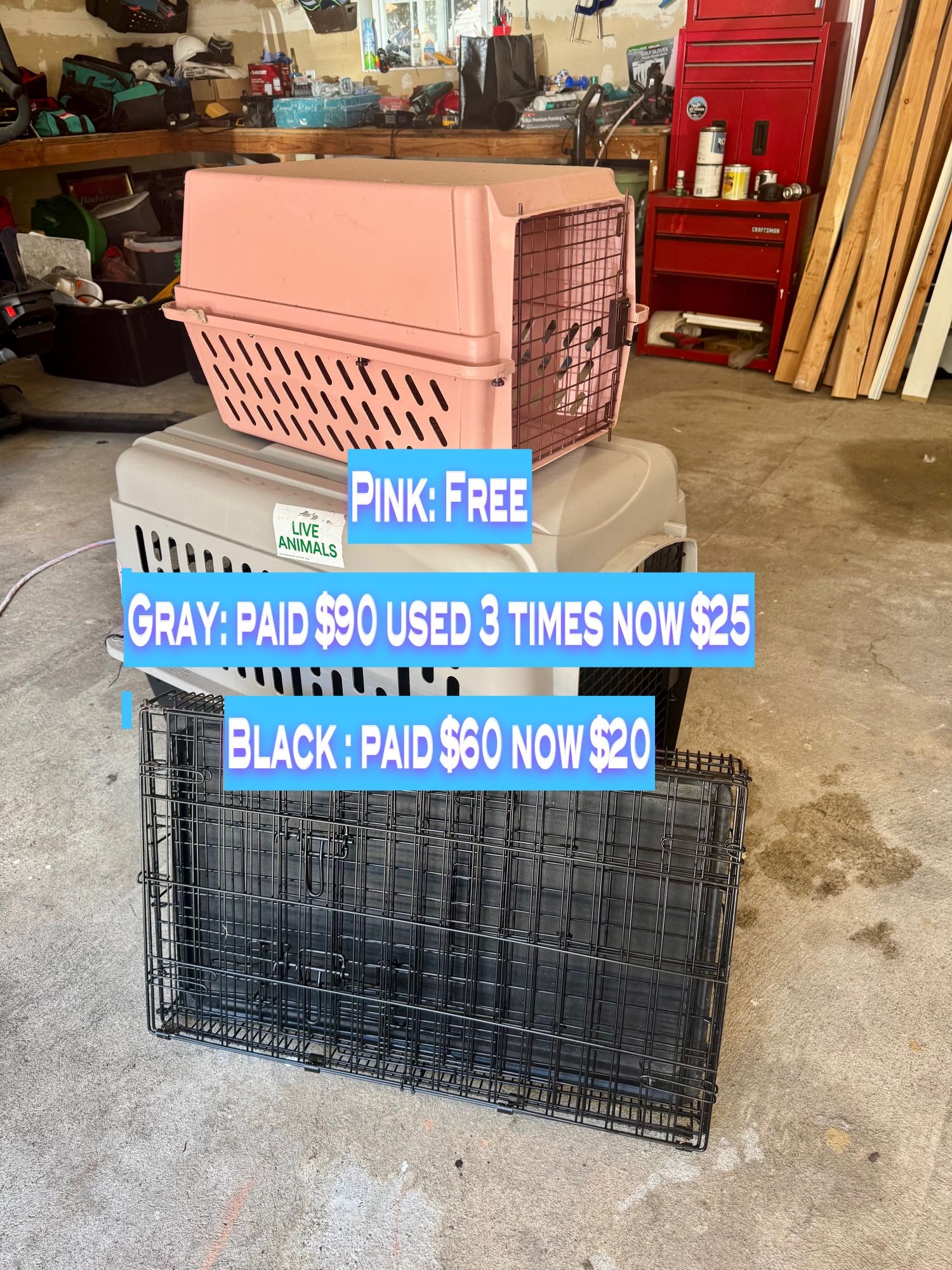 Pet Stuff PICK UP ONLY