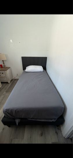Single beds with mattress