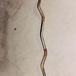 Curl Bar 
