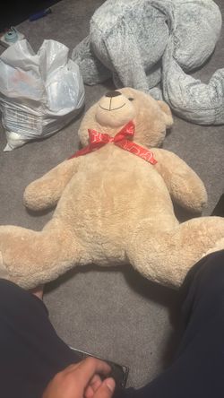 Teddy Bare 