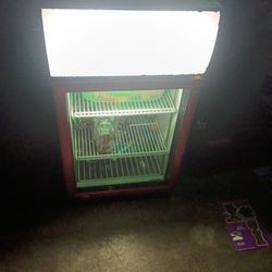 Rockstar Mini Fridge