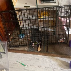 Large Dog Kennel