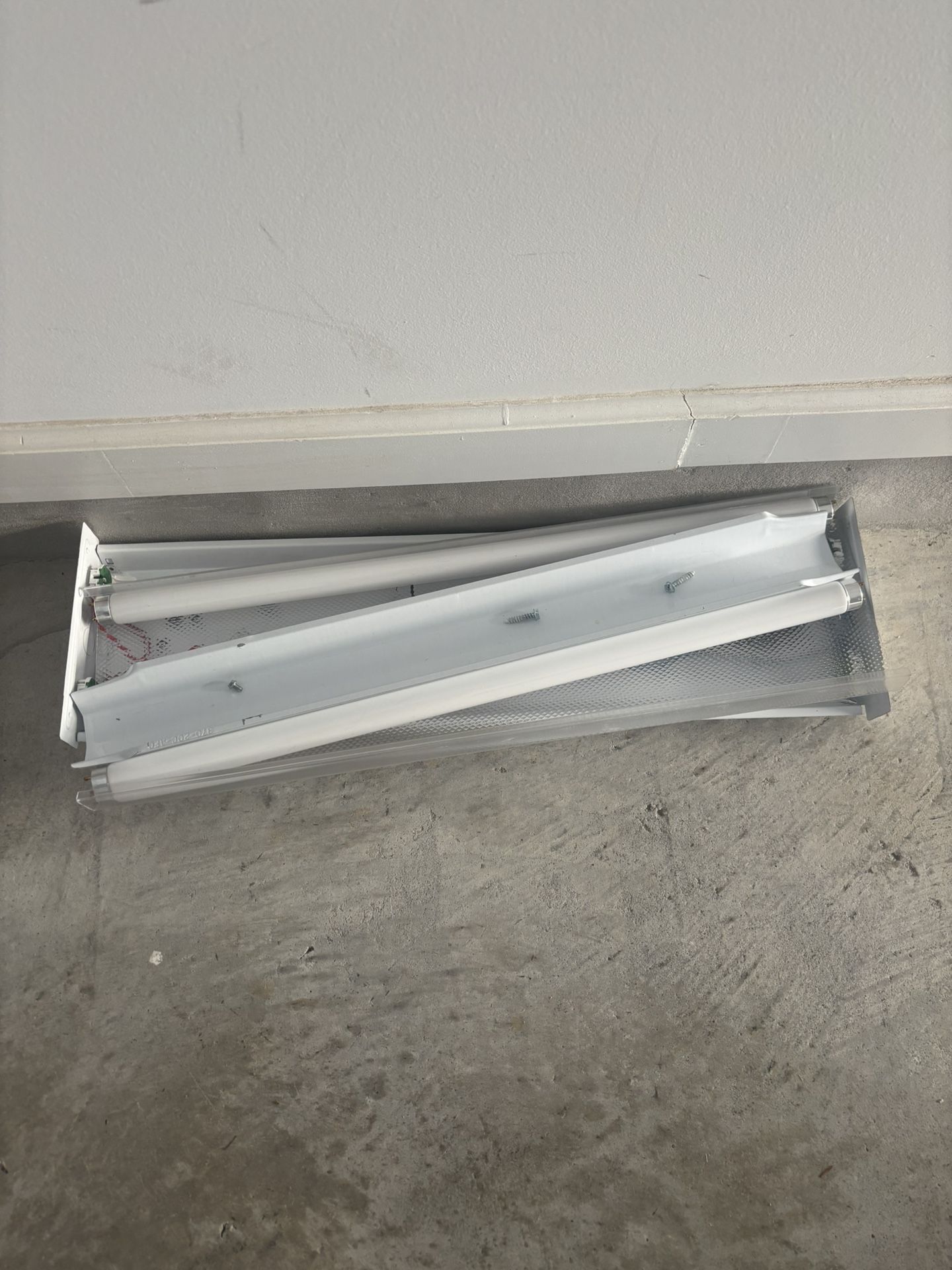 Fluorescent Light