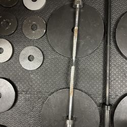 Curl Bar