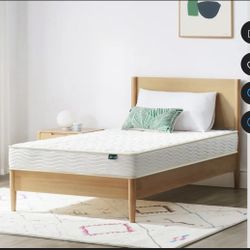 Zinus 6" Basic Tight Top Innerspring Mattress, Full