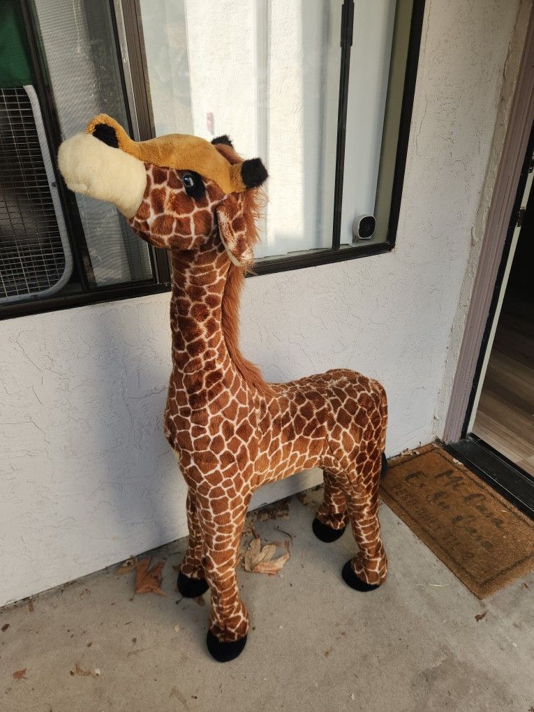 Giraffe