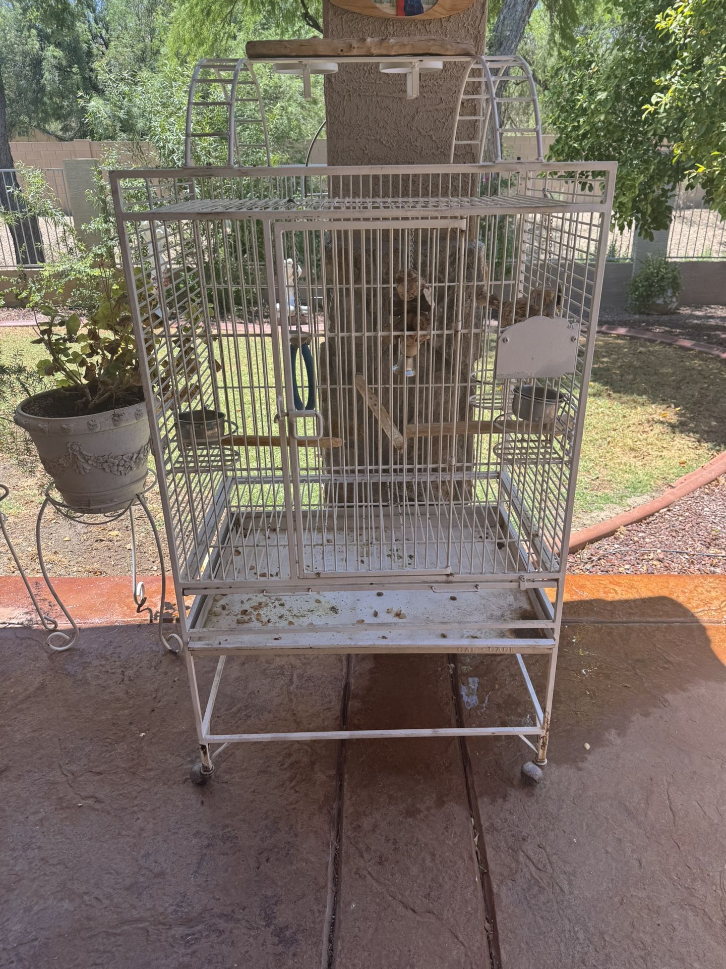 Bird Cage